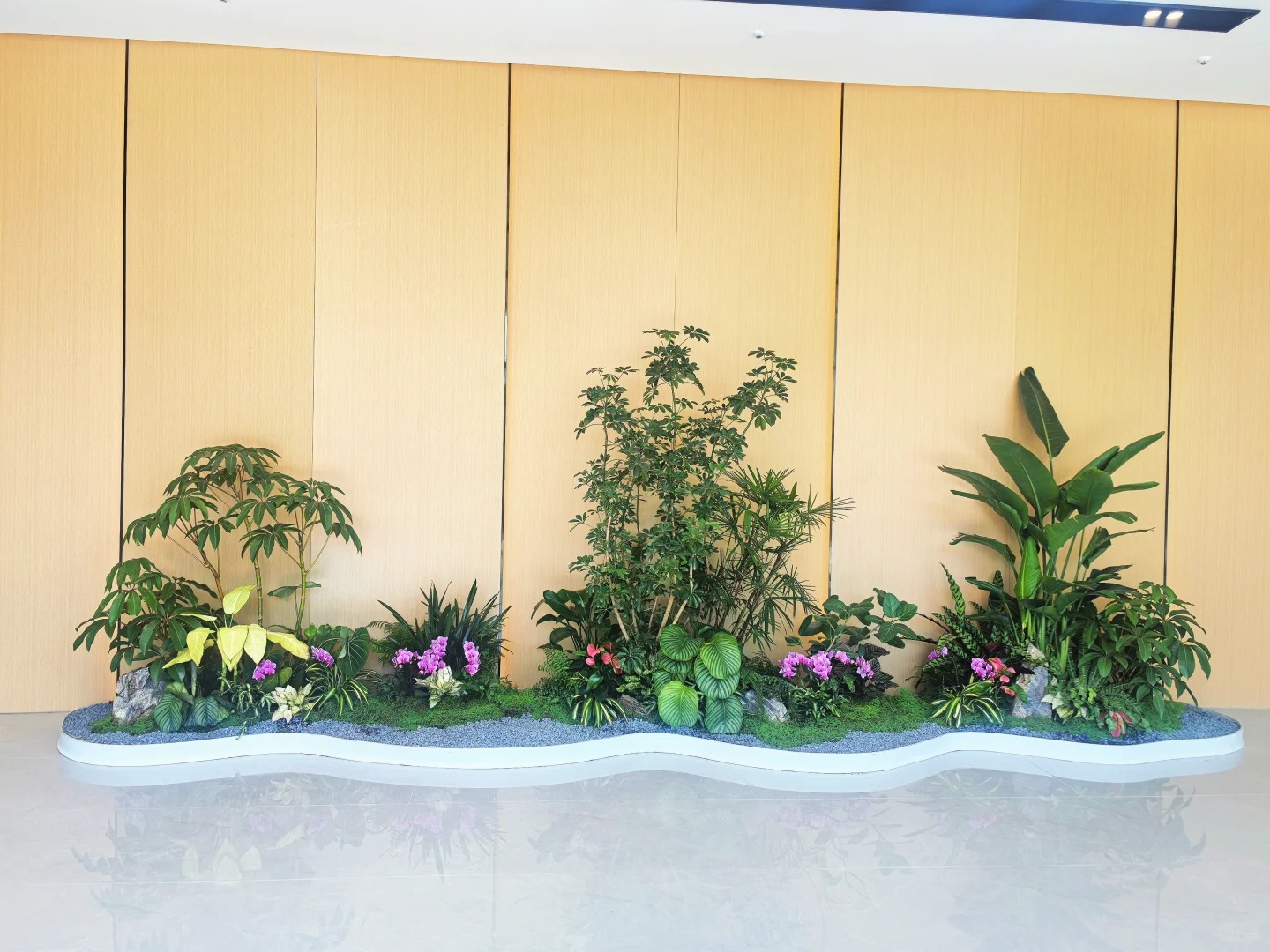 专业盆景租摆，宁波余姚的绿色艺术盛宴